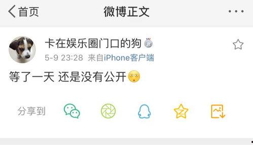 629爆料吃瓜,娱乐圈惊天大瓜背后的真相