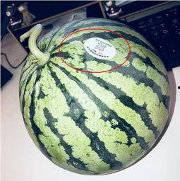 邳州网红吃瓜,揭秘网络红人的幕后故事
