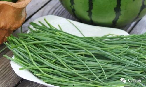 吃瓜网菜网红叫什么